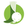New Wool